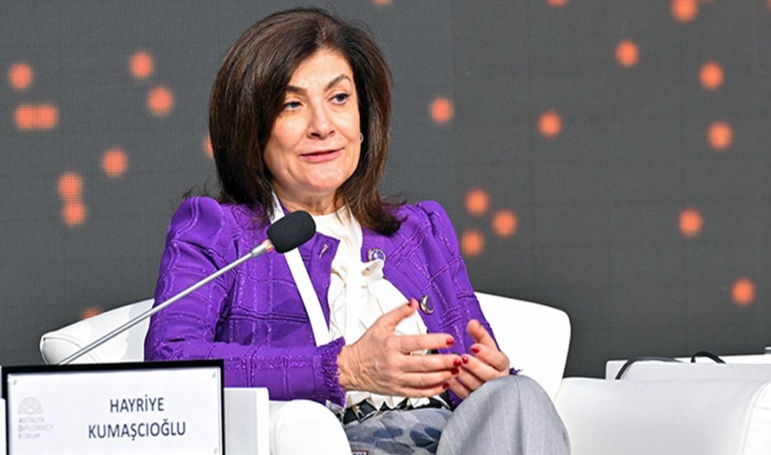 Hayriye Kumaşçıoğlu: Türk Diplomasisinin Yükselen Yıldızı Hayriye Kumaşçıoğlu, Türk diplomasi