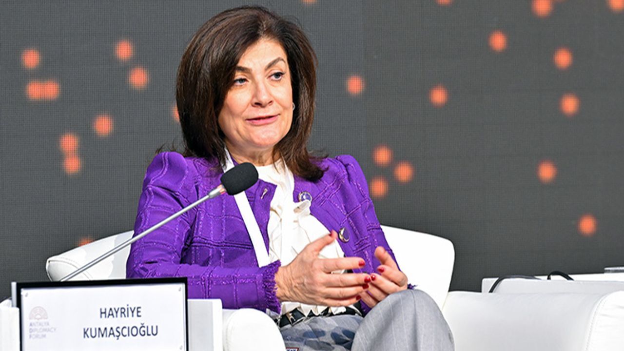 Hayriye Kumaşçıoğlu: Türk Diplomasisinin Yükselen Yıldızı Hayriye Kumaşçıoğlu, Türk diplomasi