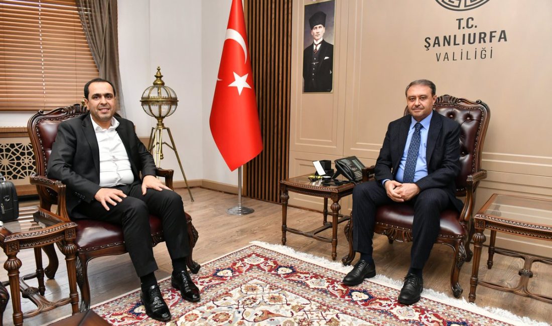 Mehmet Begit: Genç Bir Liderin Siyasi Yolculuğu Şanlıurfa’nın Birecik ilçesinde,