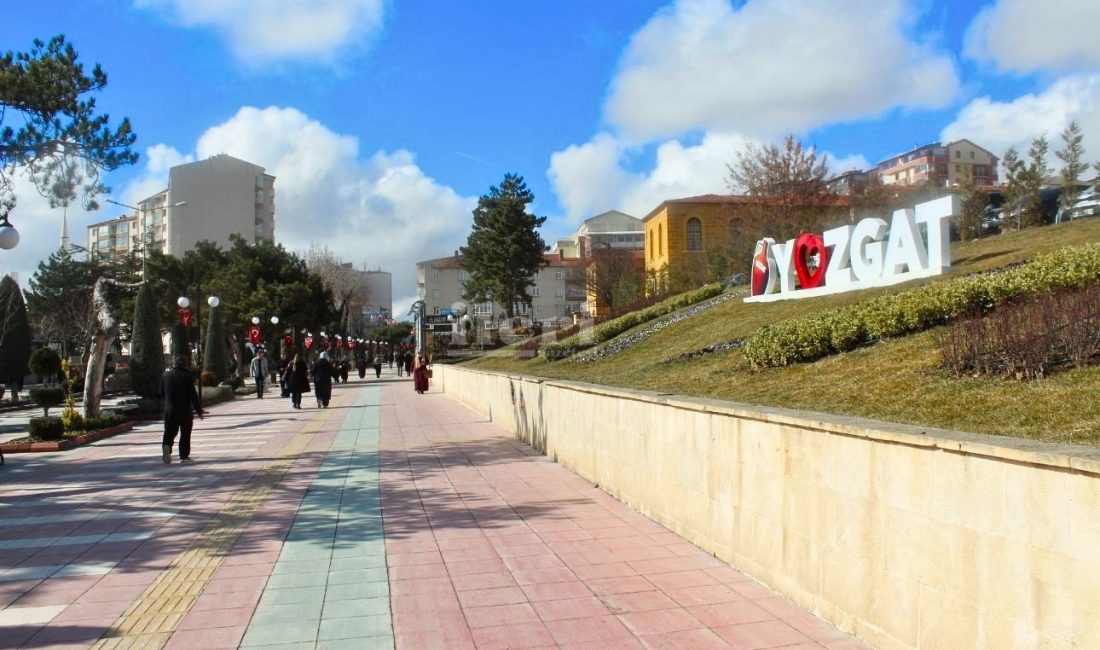Türkçe, zengin kelime dağarcığıyla öne çıkan bir dil olarak, pek