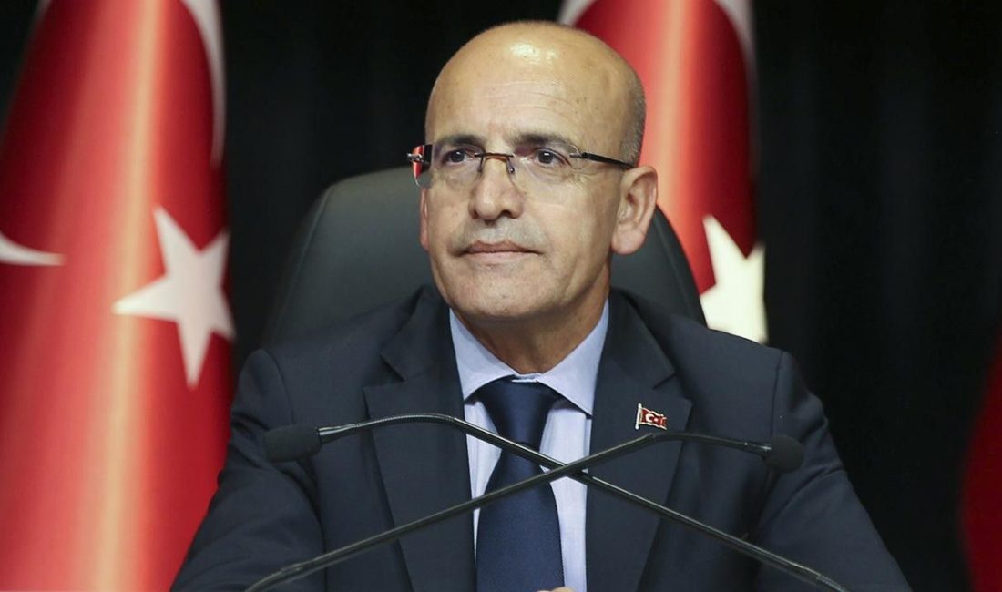 Hazine ve Maliye Bakanı Mehmet Şimşek: Hayatı ve Kariyeri Hazine