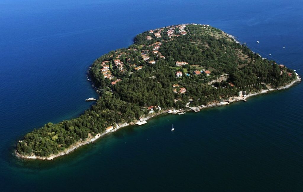 Sedef Adası: İstanbul’un Saklı Cenneti İstanbul’un gürültülü ve hareketli atmosferinden