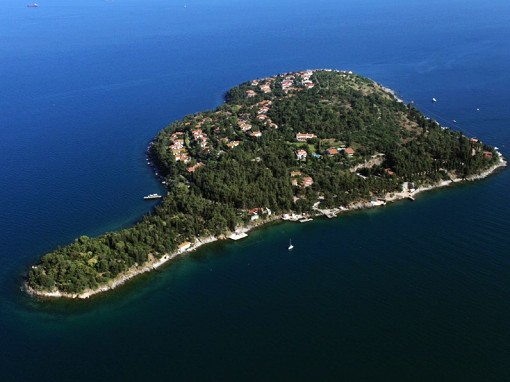 Sedef Adası: İstanbul’un Saklı Cenneti İstanbul’un gürültülü ve hareketli atmosferinden